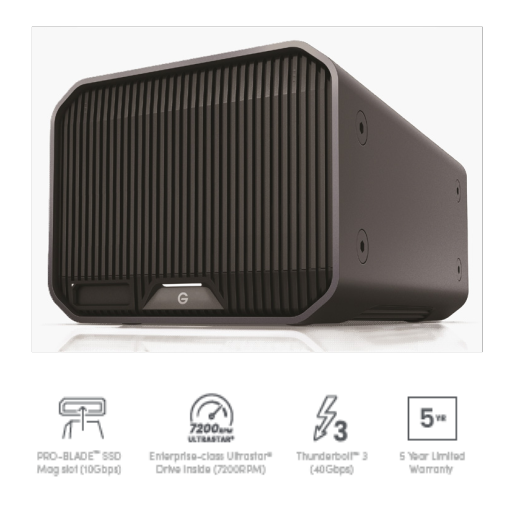 SANDISK PROFESSIONAL G-RAID PROJECT 2 24TB
